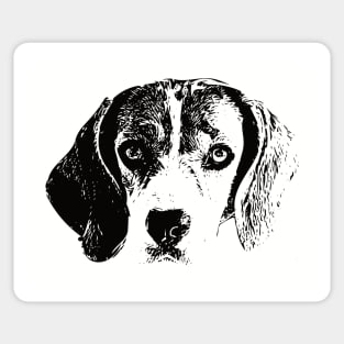 Beagle Dog Sticker